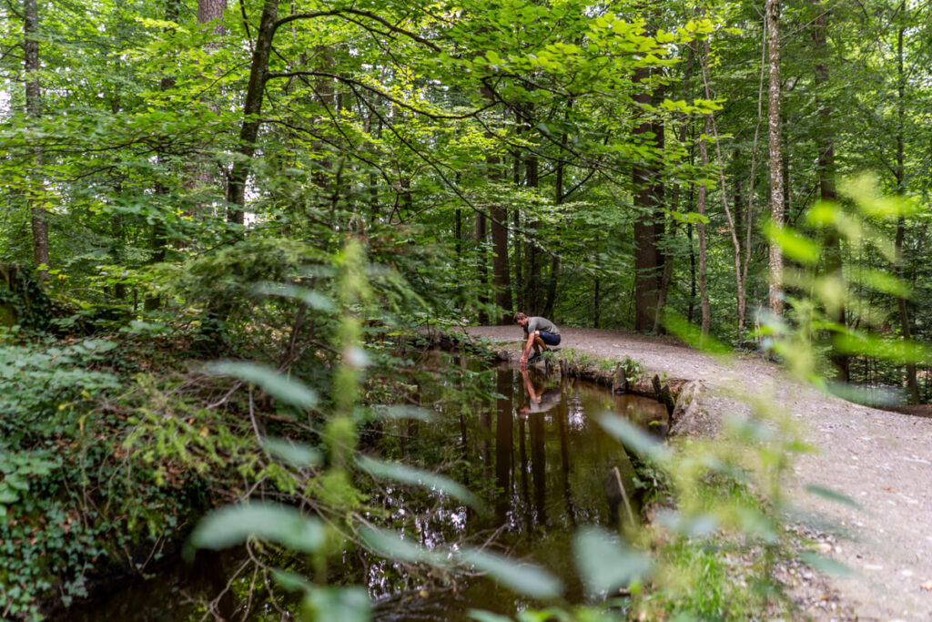 Stiller Bach Weingarten Wanderung Oberschwaben-Allgäu