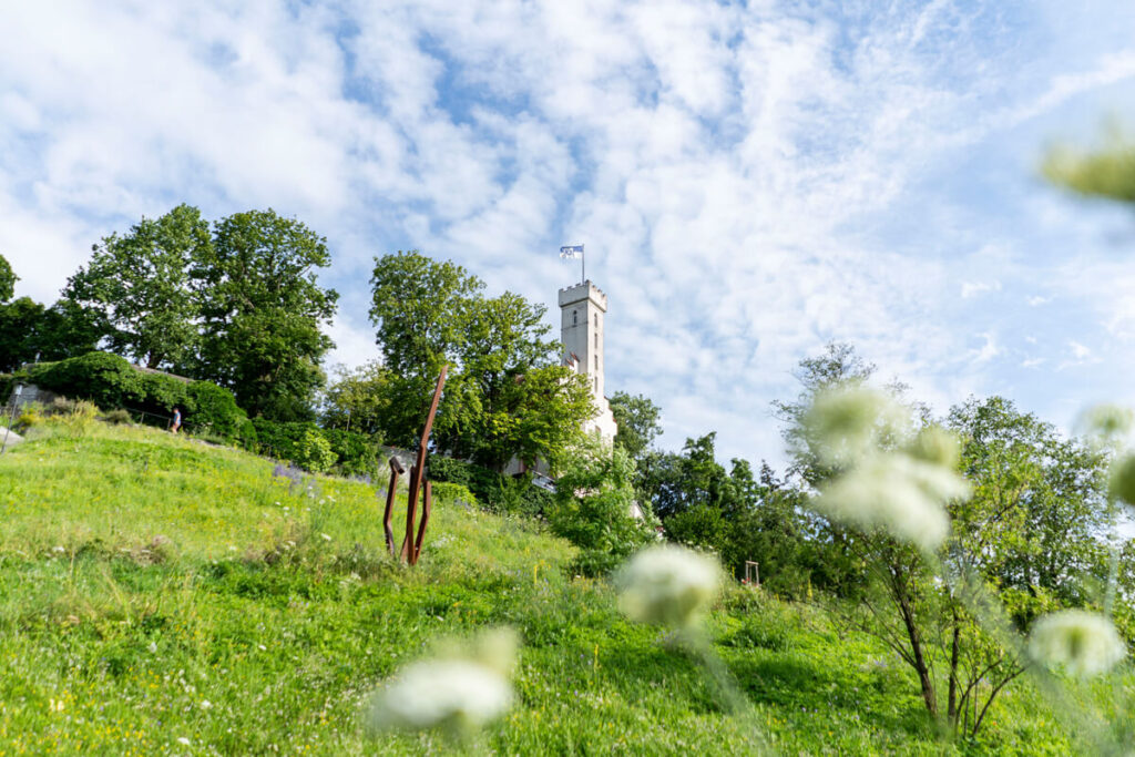 Veitsburg Ravensburg