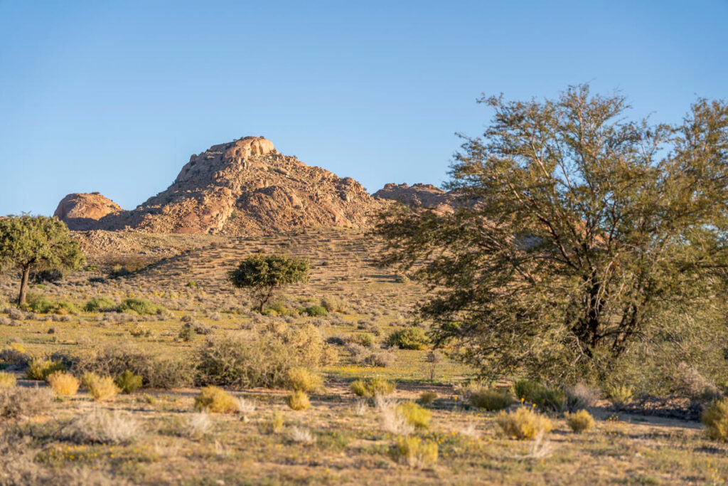 Klein-Aus Vista Desert Horse Campsite