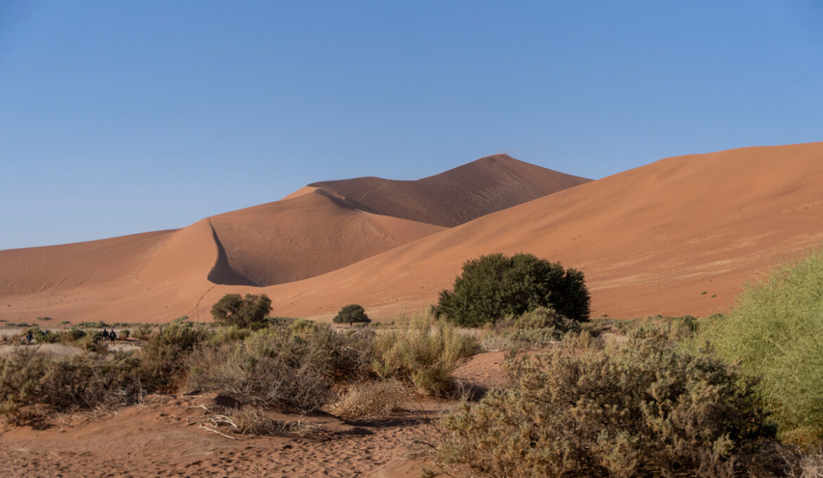 Sossusvlei Namibia – Unsere Tipps, Sehenswürdigkeiten & Infos