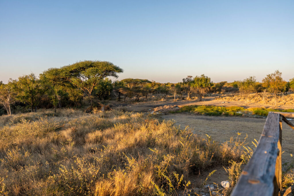 Sundowner Tour Mokuti Lodge Etosha