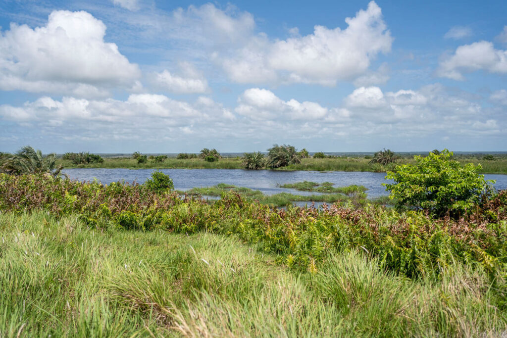 iSimangaliso Wetland Park