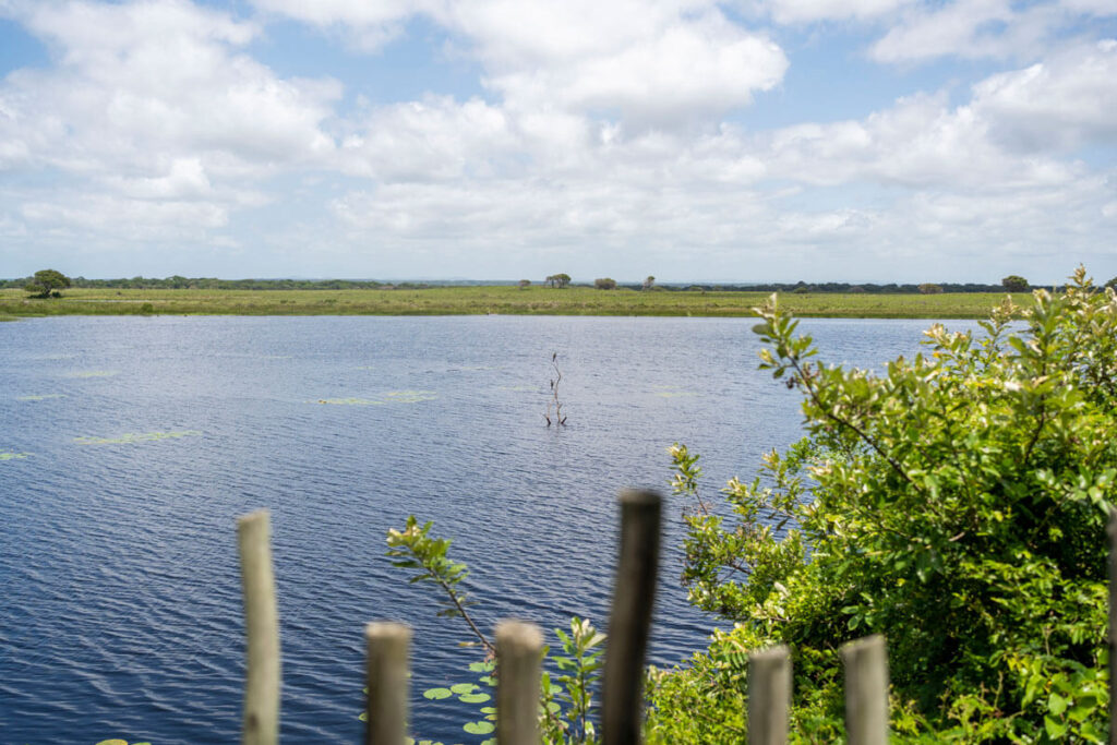 See im iSimangaliso Wetland Park