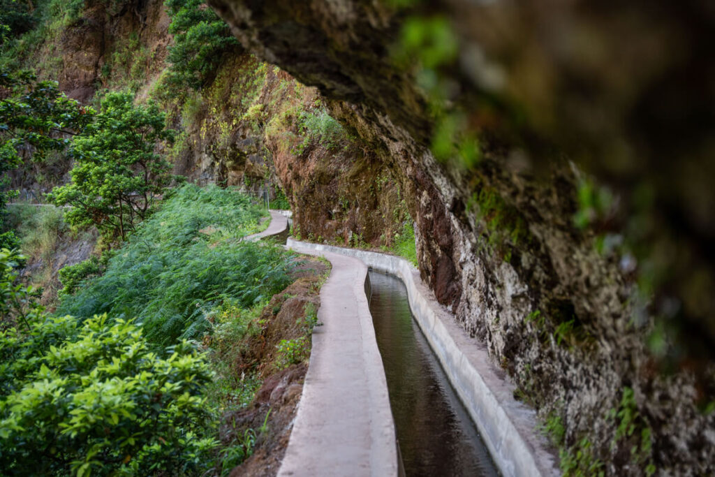 Madeira Aktivitäten Levada Wanderung