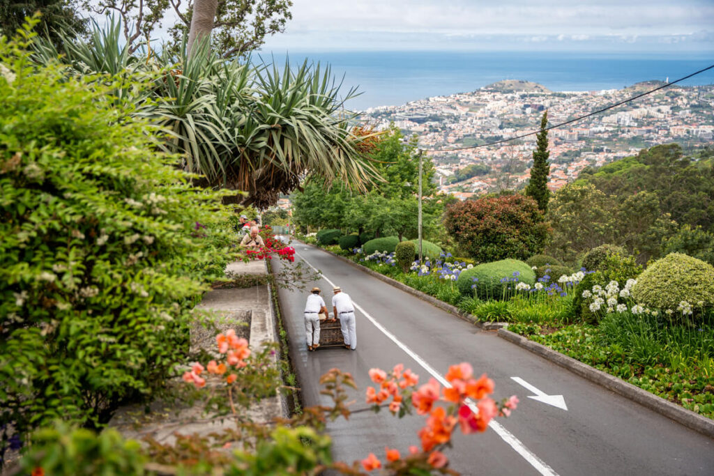 Madeira Sehenswürdigkeiten – Die berühmte Korbschlittenfahrt Korbschlittenfahrt Madeira Monte Funchal