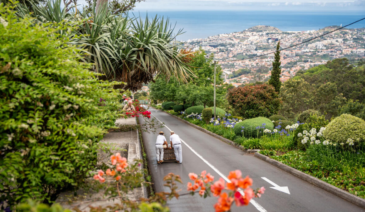 Korbschlittenfahrt Madeira Monte Funchal
