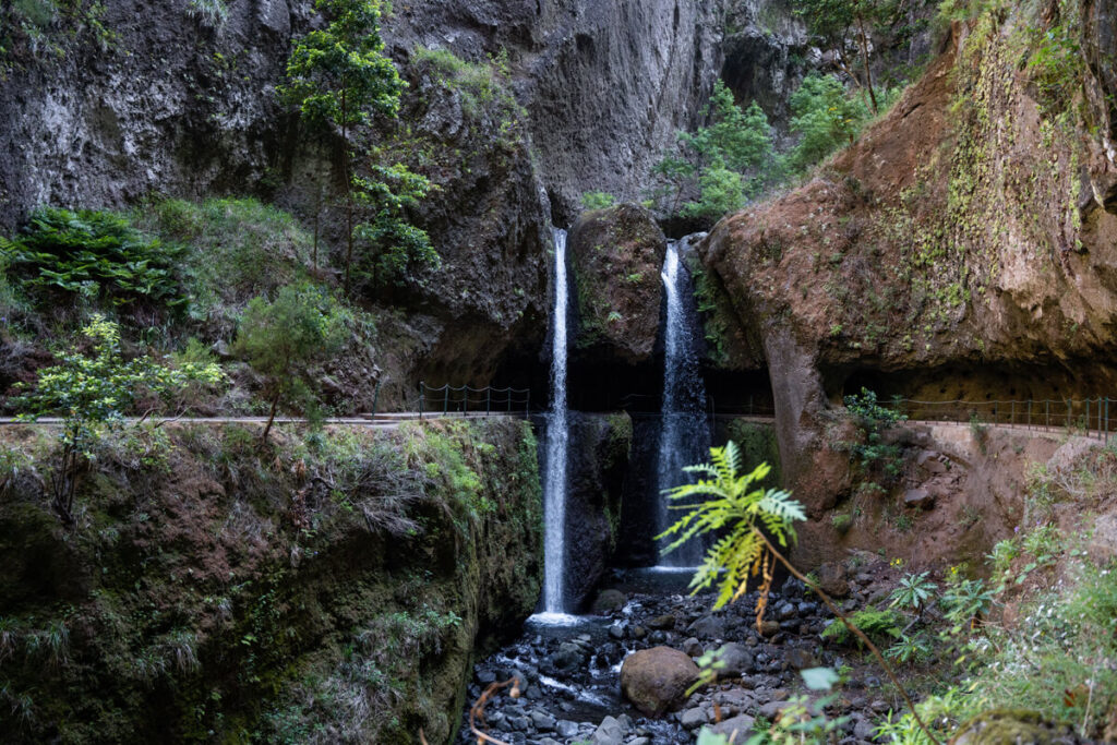 Levada Nova & Levada do Moinho