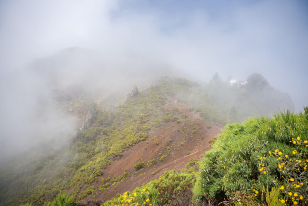 Vereda do Pico Ruivo