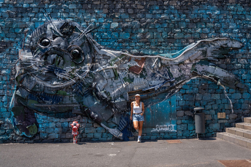 Camara de Lobos Robben-Skulptur