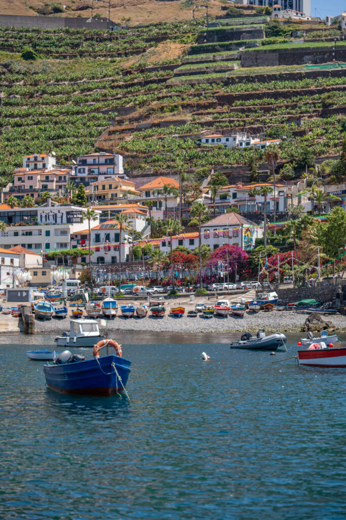 Hafen von Camara de Lobos